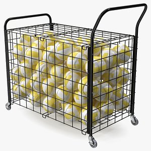 Metal Storage Full of Volleyballs model