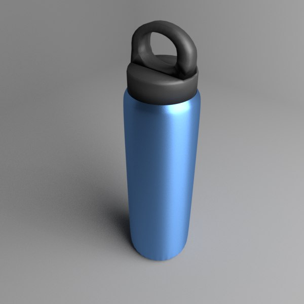 Metal Water Bottles 3D model