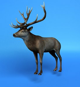 3ds max deer stag