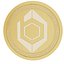 Bionic crypto gold coin