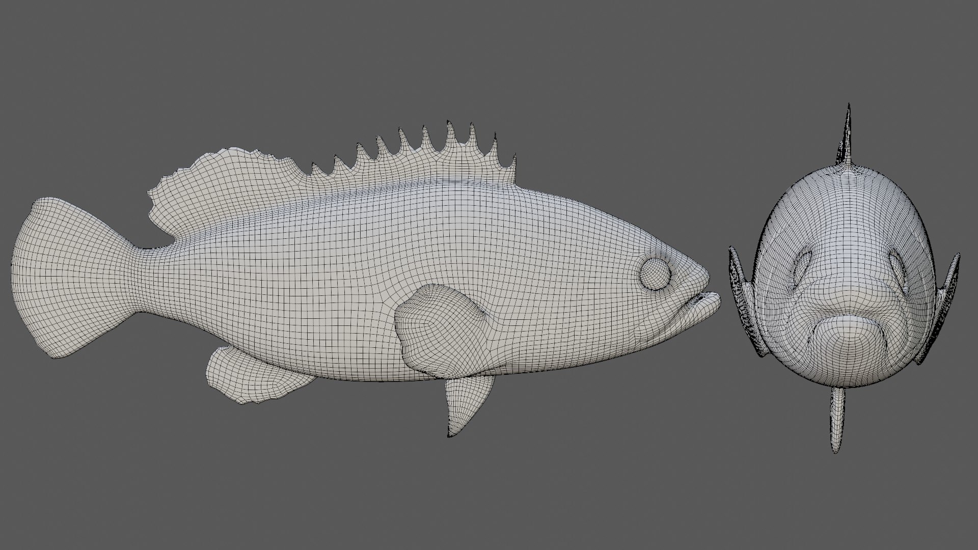 3D Grouper fish https://p.turbosquid.com/ts-thumb/P1/xC8WAI/OU/2/jpg/1629031218/1920x1080/fit_q87/35ebd4f54de7026365d8c1b4ef827764858dce7b/2.jpg