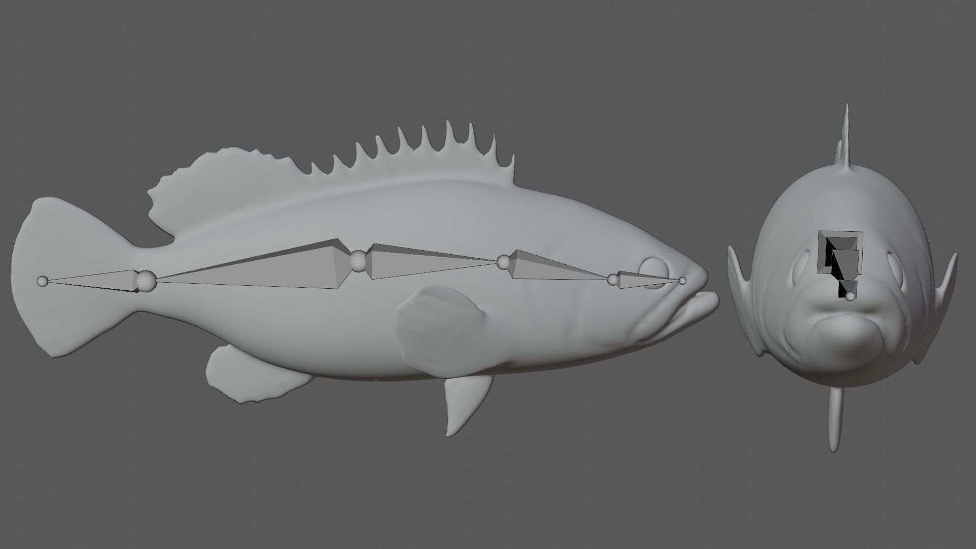 3D Grouper fish https://p.turbosquid.com/ts-thumb/P1/xC8WAI/l0/19/jpg/1629031217/1920x1080/fit_q87/9dbba5c610ec506f1871a74617cdea784e7764e9/19.jpg
