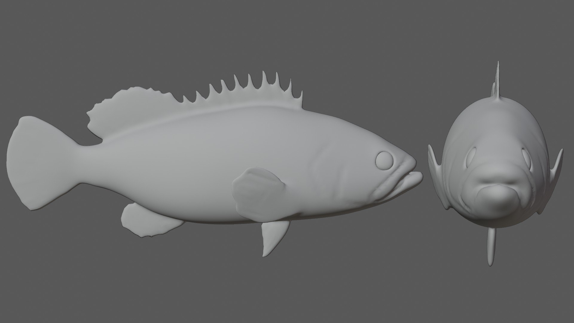 3D Grouper fish https://p.turbosquid.com/ts-thumb/P1/xC8WAI/xz/18/jpg/1629031217/1920x1080/fit_q87/e713ed40b49eab7f7df324652a78e1ee129ff434/18.jpg