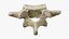 Vertebra Structure