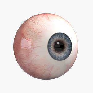 human eyeball eyes 3d c4d
