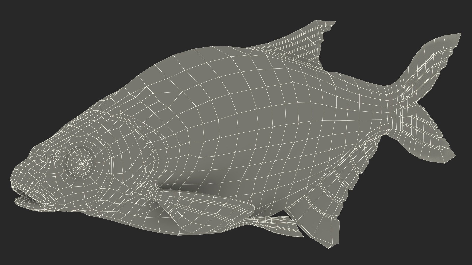 Bronze Bream Fish Rigged 3D https://p.turbosquid.com/ts-thumb/P2/GA8cie/1I/bronzebreamfishriggedmb3dmodel033/jpg/1700718580/1920x1080/fit_q87/d650d9a388aac0046e72a44e772f3d78b20f01f4/bronzebreamfishriggedmb3dmodel033.jpg