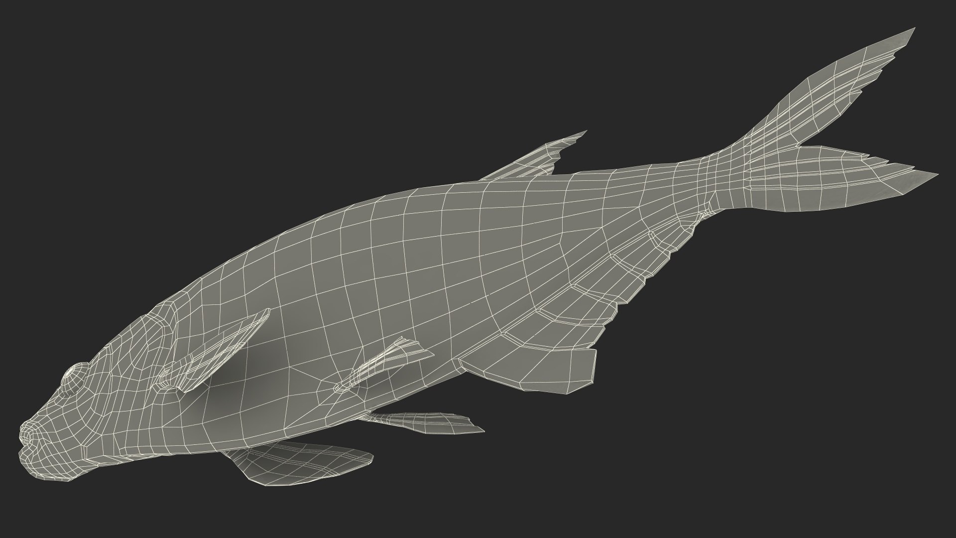 Bronze Bream Fish Rigged 3D https://p.turbosquid.com/ts-thumb/P2/GA8cie/7F/bronzebreamfishriggedmb3dmodel036/jpg/1700718593/1920x1080/fit_q87/562af71b92da546ba015c512374fffb5282b6aeb/bronzebreamfishriggedmb3dmodel036.jpg