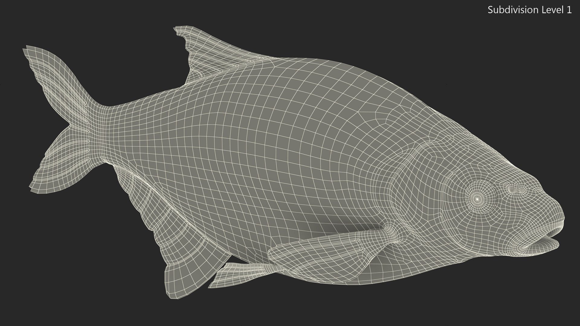 Bronze Bream Fish Rigged 3D https://p.turbosquid.com/ts-thumb/P2/GA8cie/KY/bronzebreamfishriggedmb3dmodel028/jpg/1700718561/1920x1080/fit_q87/a40384dd7aa24940d493cdb4787eabfa6c9e1859/bronzebreamfishriggedmb3dmodel028.jpg