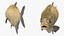 청동 도미 물고기 조작
