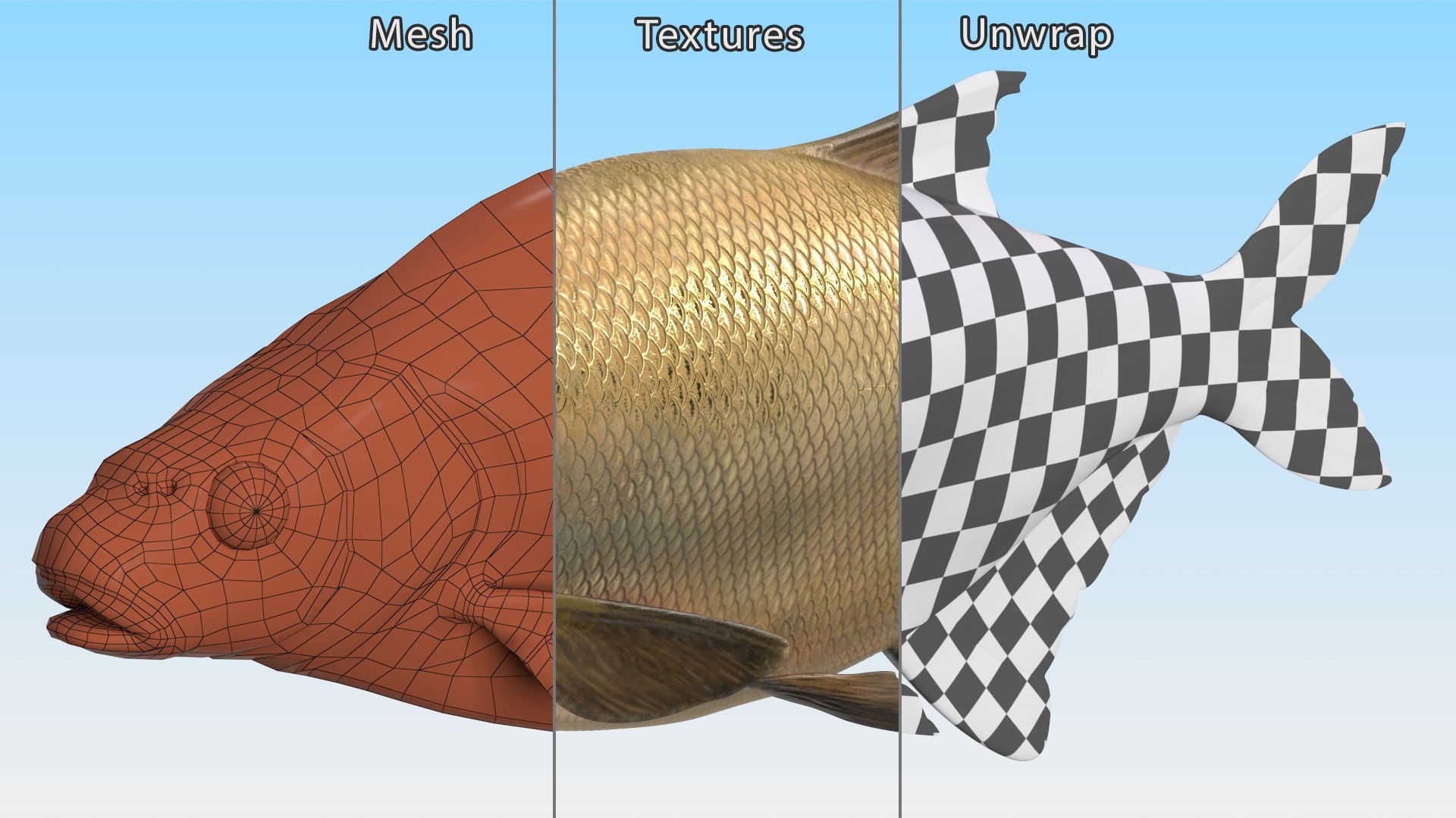 Bronze Bream Fish Rigged 3D https://p.turbosquid.com/ts-thumb/P2/GA8cie/hr/bronzebreamfishriggedmb3dmodel026/jpg/1700718553/1920x1080/fit_q87/582c698609b4df6279cf30aeb4dae34478fc6043/bronzebreamfishriggedmb3dmodel026.jpg