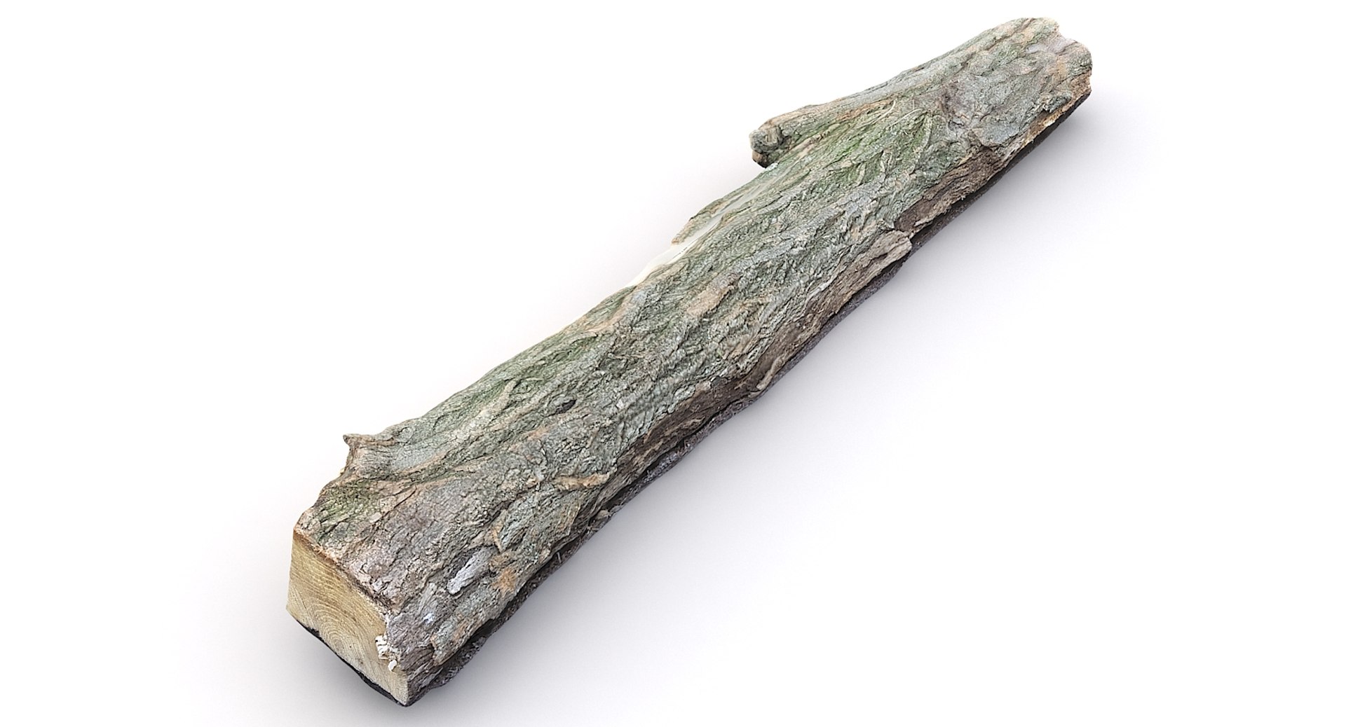 Scan Wood Log 3D - TurboSquid 1255791