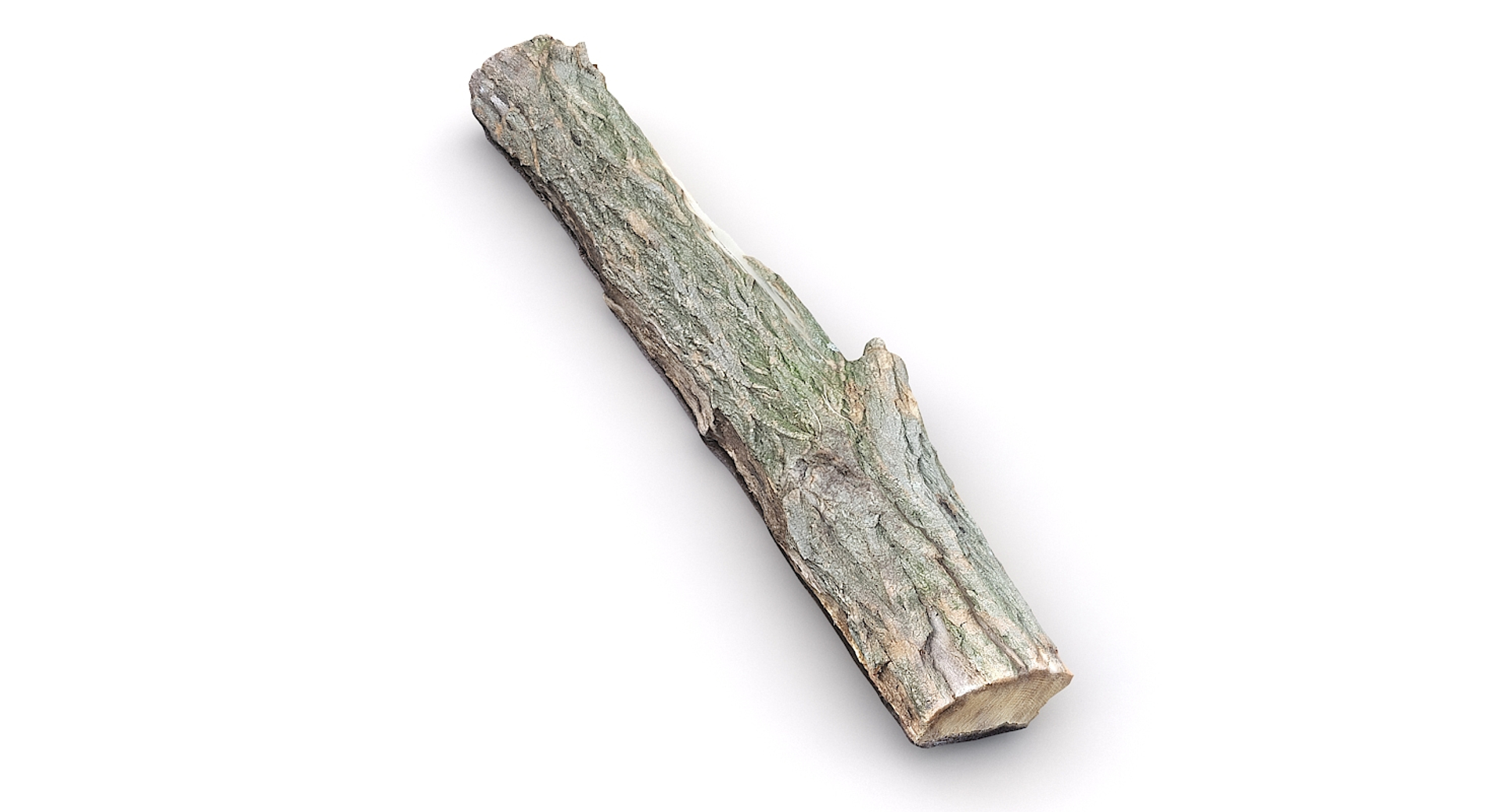 Scan Wood Log 3D - TurboSquid 1255791