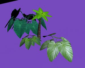 3ds tropical plants