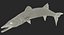 Barracuda Fish Attacking Pose Modelo 3D
