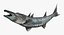 Barracuda Fish Attacking Pose Modelo 3D