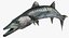 Barracuda Fish Attacking Pose Modelo 3D