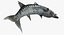 Barracuda Fish Attacking Pose Modelo 3D