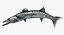 Barracuda Fish Attacking Pose Modelo 3D
