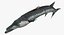 Barracuda Fish Attacking Pose Modelo 3D
