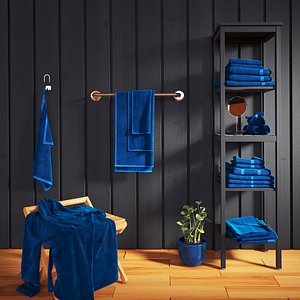 3D bathroom bathrobe model