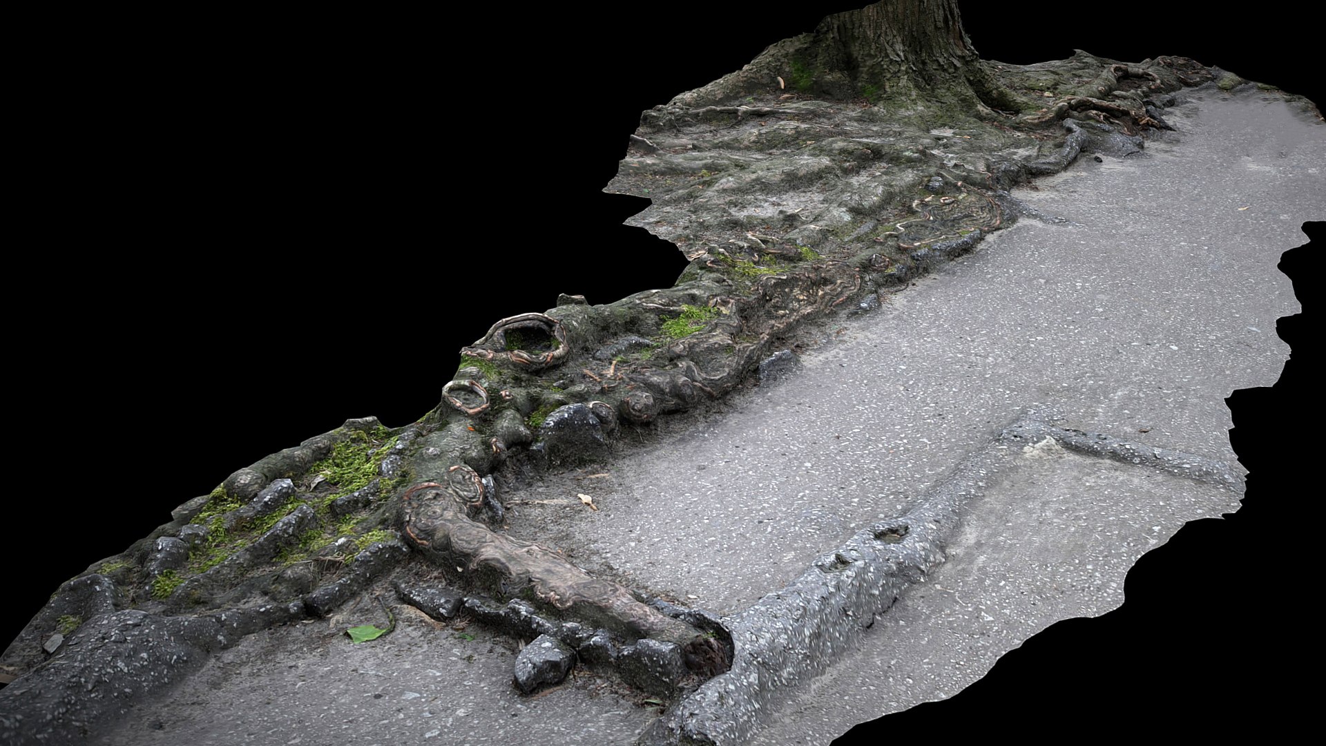 3D Asphalt Damaged Road Tree Roots Part10 Photogrammetry - TurboSquid ...