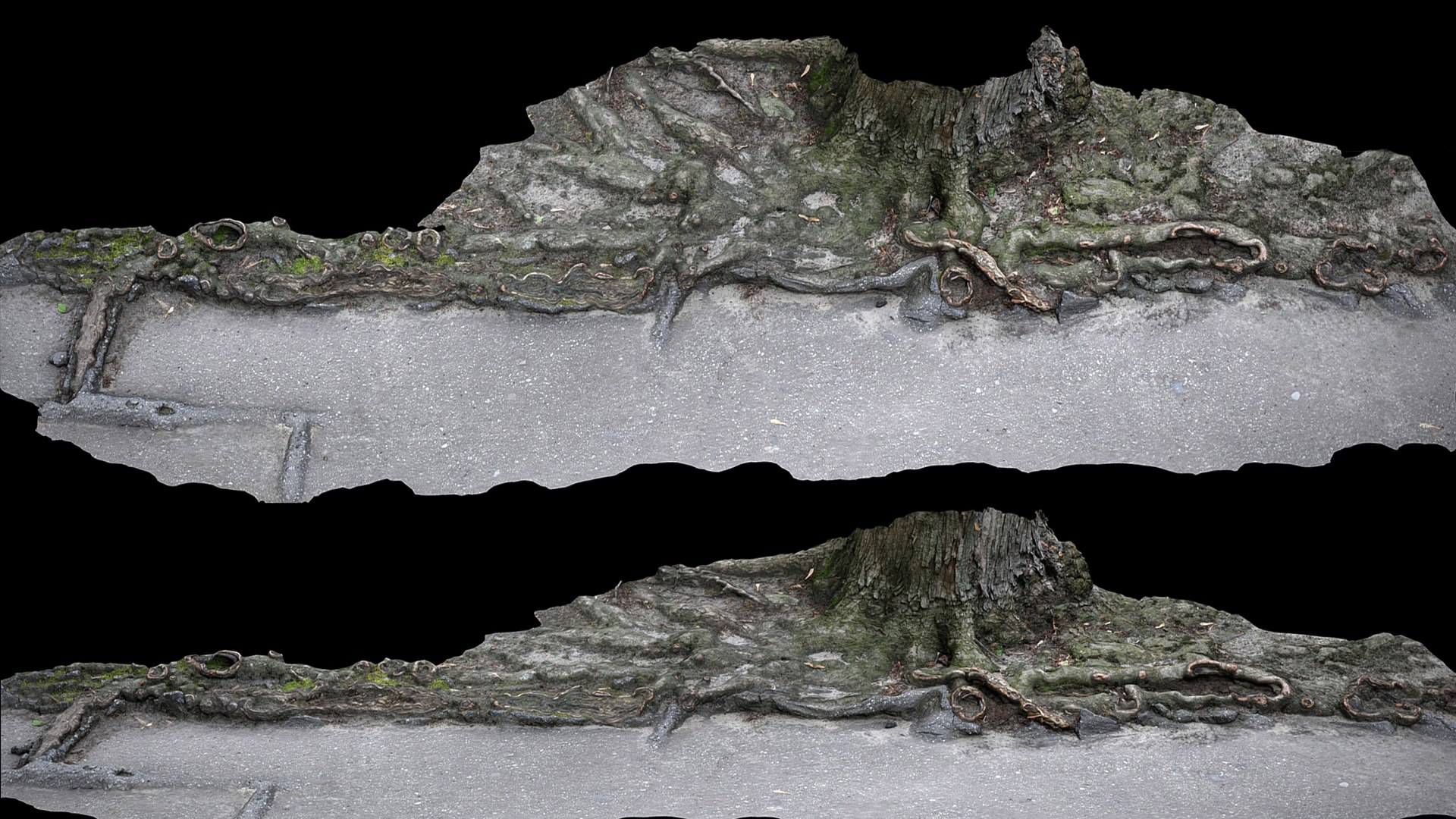 3D Asphalt Damaged Road Tree Roots Part10 Photogrammetry - TurboSquid ...