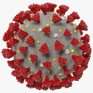 3D coronavirus corona virus