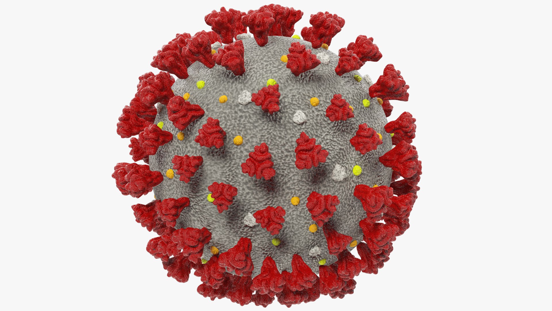 3D coronavirus corona virus - TurboSquid 1529811