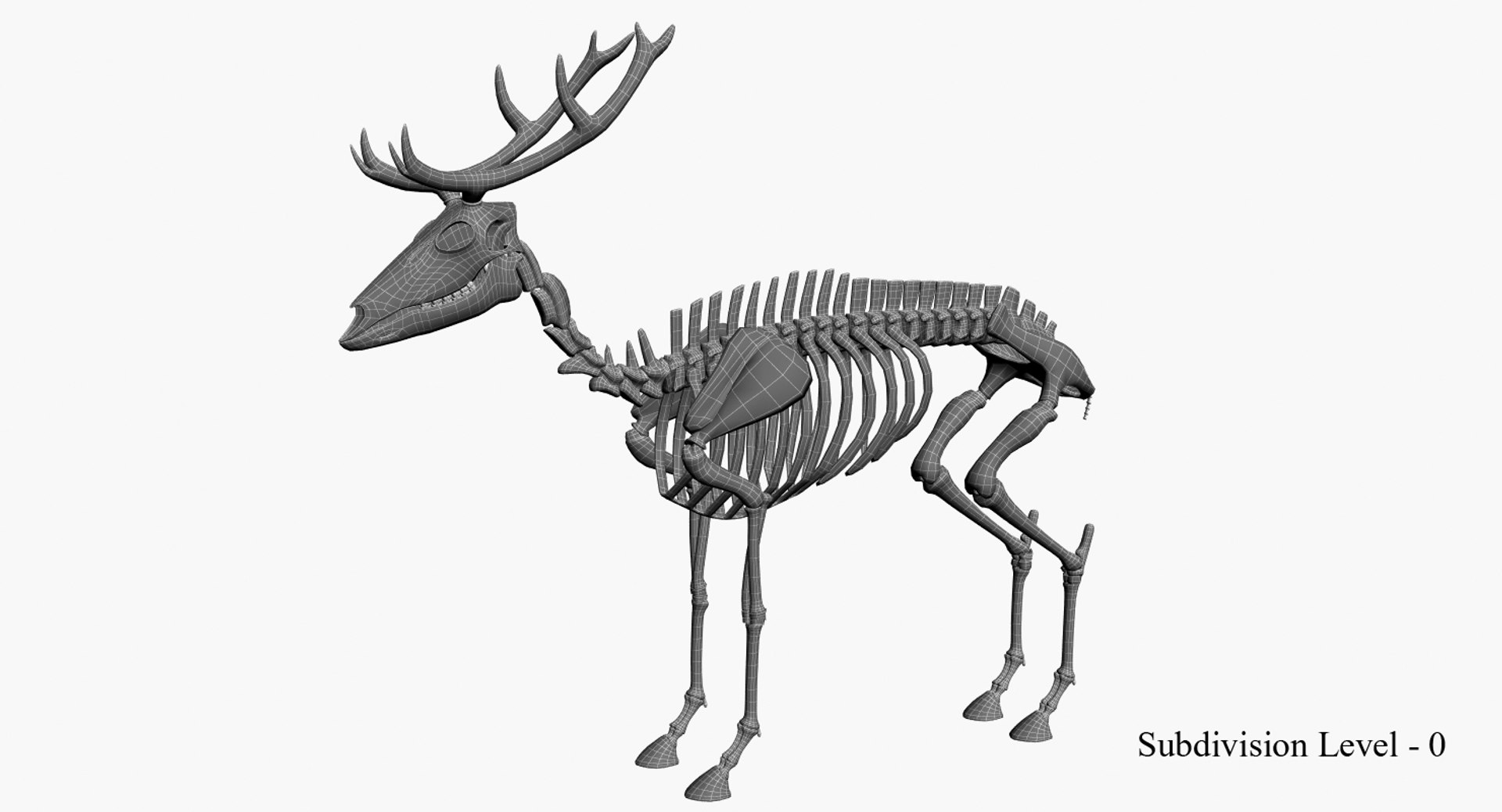 deer skeleton 3D https://p.turbosquid.com/ts-thumb/P2/nZXVi7/4vsJiTue/net1/jpg/1495803725/1920x1080/fit_q87/eefaa9bfcff0ee7a928fa0fed9e569a9d90f5d32/net1.jpg