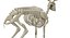 Deer Skeleton