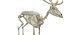 Deer Skeleton