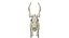 Deer Skeleton