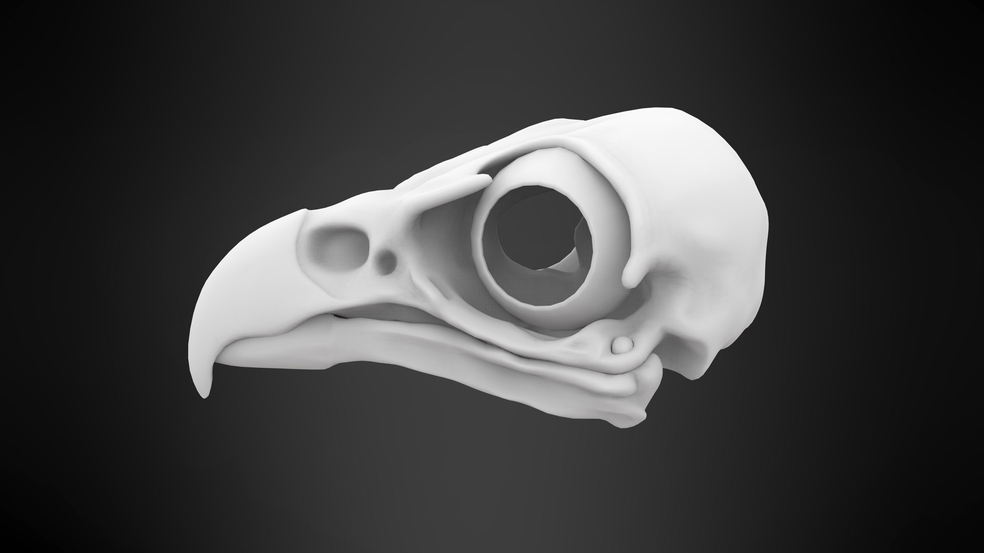 3D griffin skull model https://p.turbosquid.com/ts-thumb/P3/3PkHeF/2bh0g9Tz/griffin_skull_8/jpg/1584883425/1920x1080/fit_q87/021ae817bfbd4db2eb4e82acadd474551cd527ec/griffin_skull_8.jpg