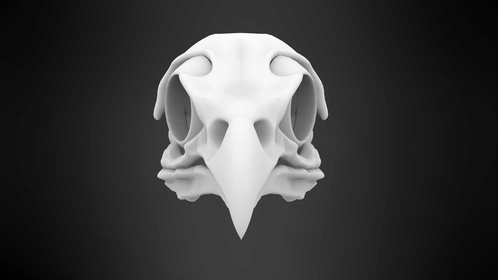 3D griffin skull model https://p.turbosquid.com/ts-thumb/P3/3PkHeF/CKIL5TcQ/griffin_skull_7/jpg/1584883409/1920x1080/fit_q87/6b80c85757df65007e6c4baeafabd5f502a1d41d/griffin_skull_7.jpg
