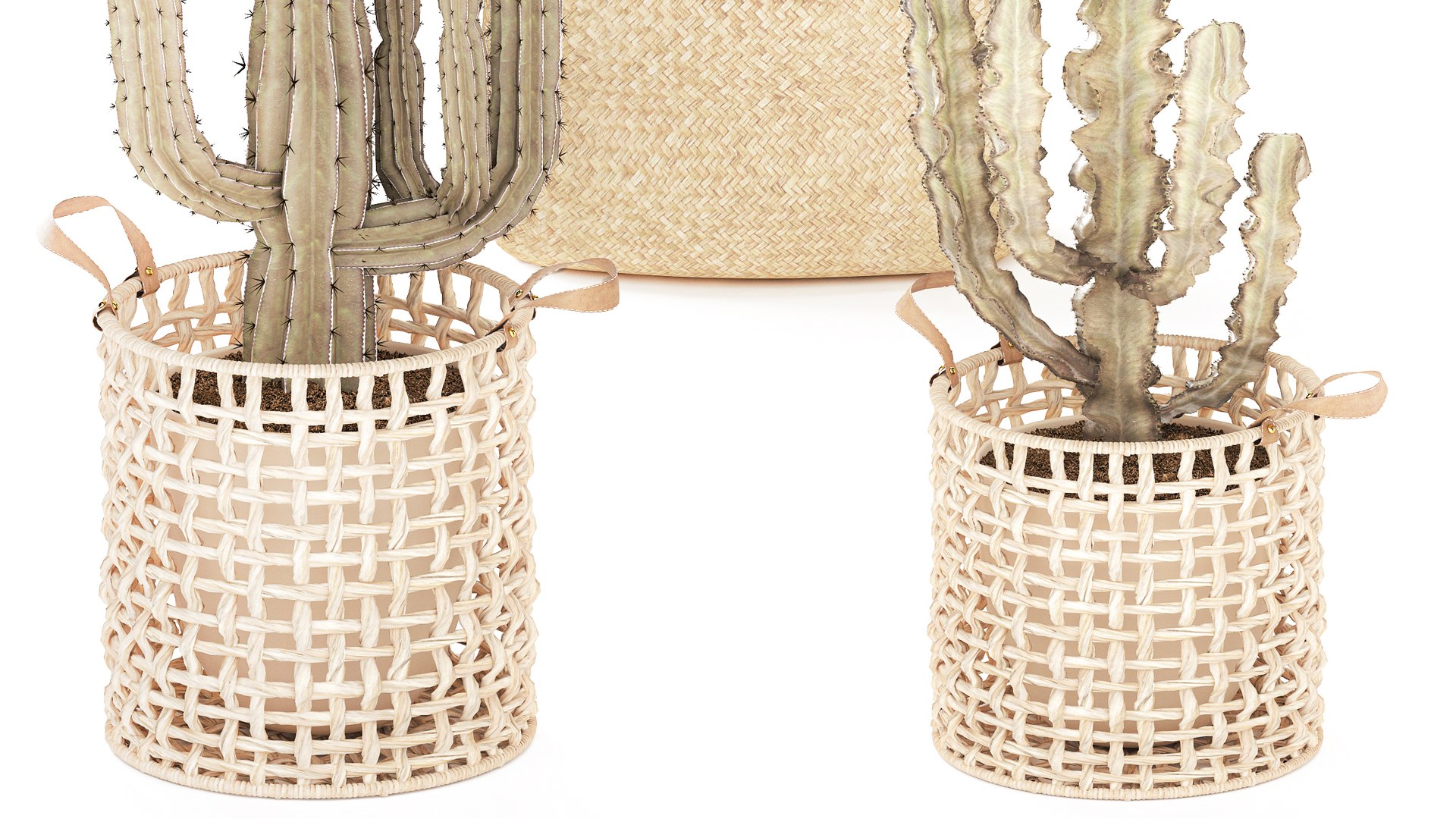 3D Set Cactus cacti Yucca DracaenaBanana Palm baskets decor model https://p.turbosquid.com/ts-thumb/P3/AvLhYo/Yq/1setplants030306/jpg/1772792841/1920x1080/fit_q87/d0cc89e926df4cca6e2685edbf46f841c36650e0/1setplants030306.jpg