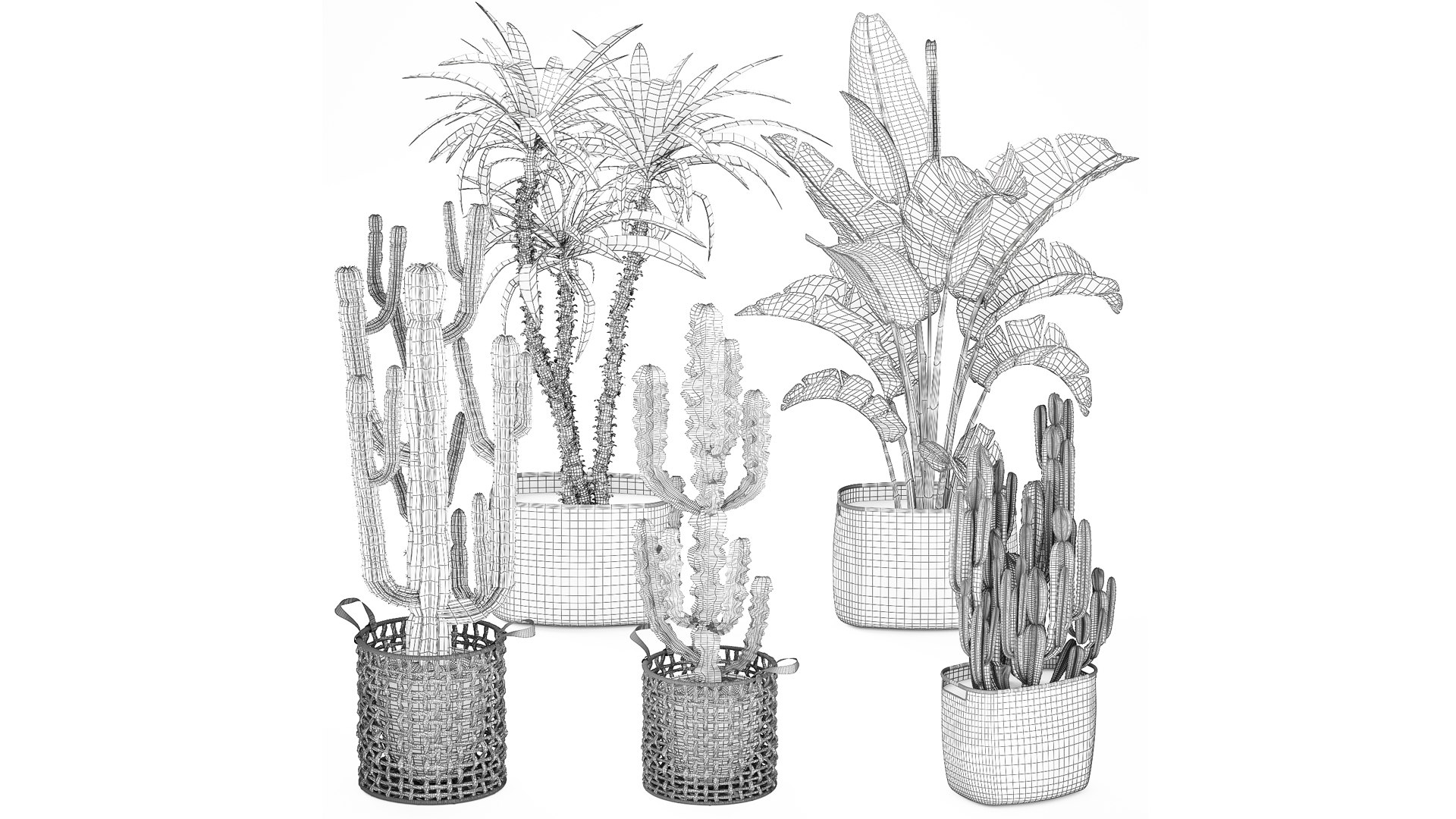 3D Set Cactus cacti Yucca DracaenaBanana Palm baskets decor model https://p.turbosquid.com/ts-thumb/P3/AvLhYo/wo/1setplants030309/jpg/1772792843/1920x1080/fit_q87/a223e213d0794582351233ca33eb9127c24c1eaa/1setplants030309.jpg