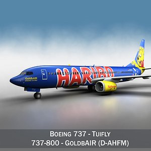 Boeing 737-800 GoldbAIR