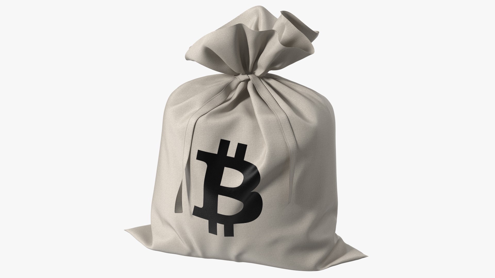 Money Bag Bitcoin 3D model preview