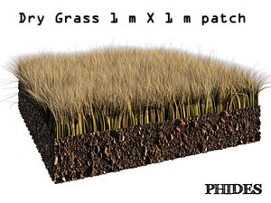 dry grass 1 3D