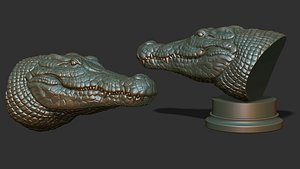 Crocodile bust 3D model