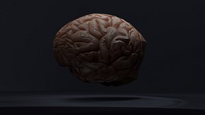 Low-poly Brain
