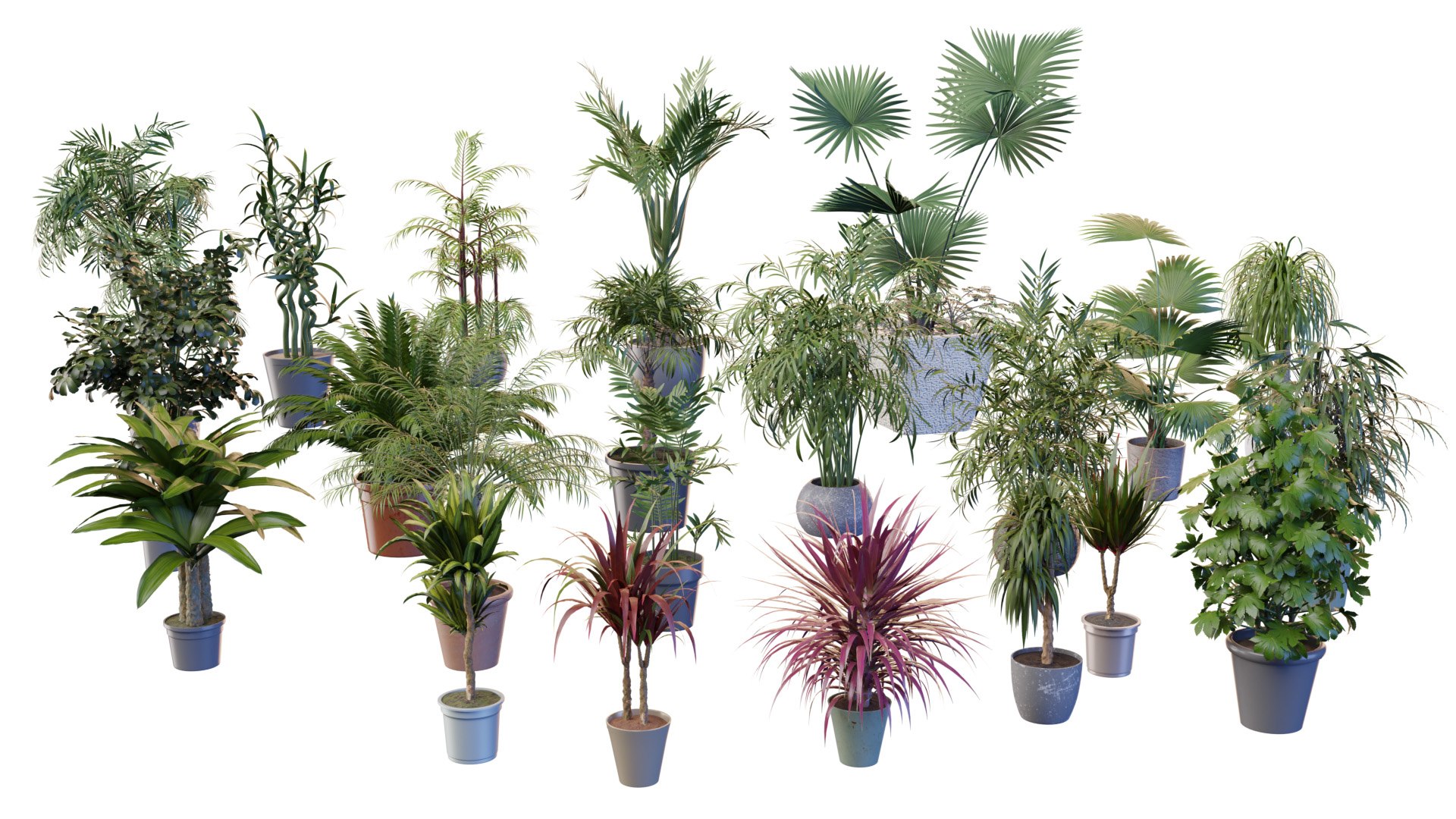 3D model Indoor Potted Palms 3d collection https://p.turbosquid.com/ts-thumb/P3/p8D1df/Ey/z03/jpg/1721935994/1920x1080/fit_q87/26c301489e0d8a7d90e5696051aa61ade0556128/z03.jpg