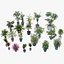屋内鉢植えヤシの3Dコレクション