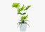 屋内鉢植えヤシの3Dコレクション
