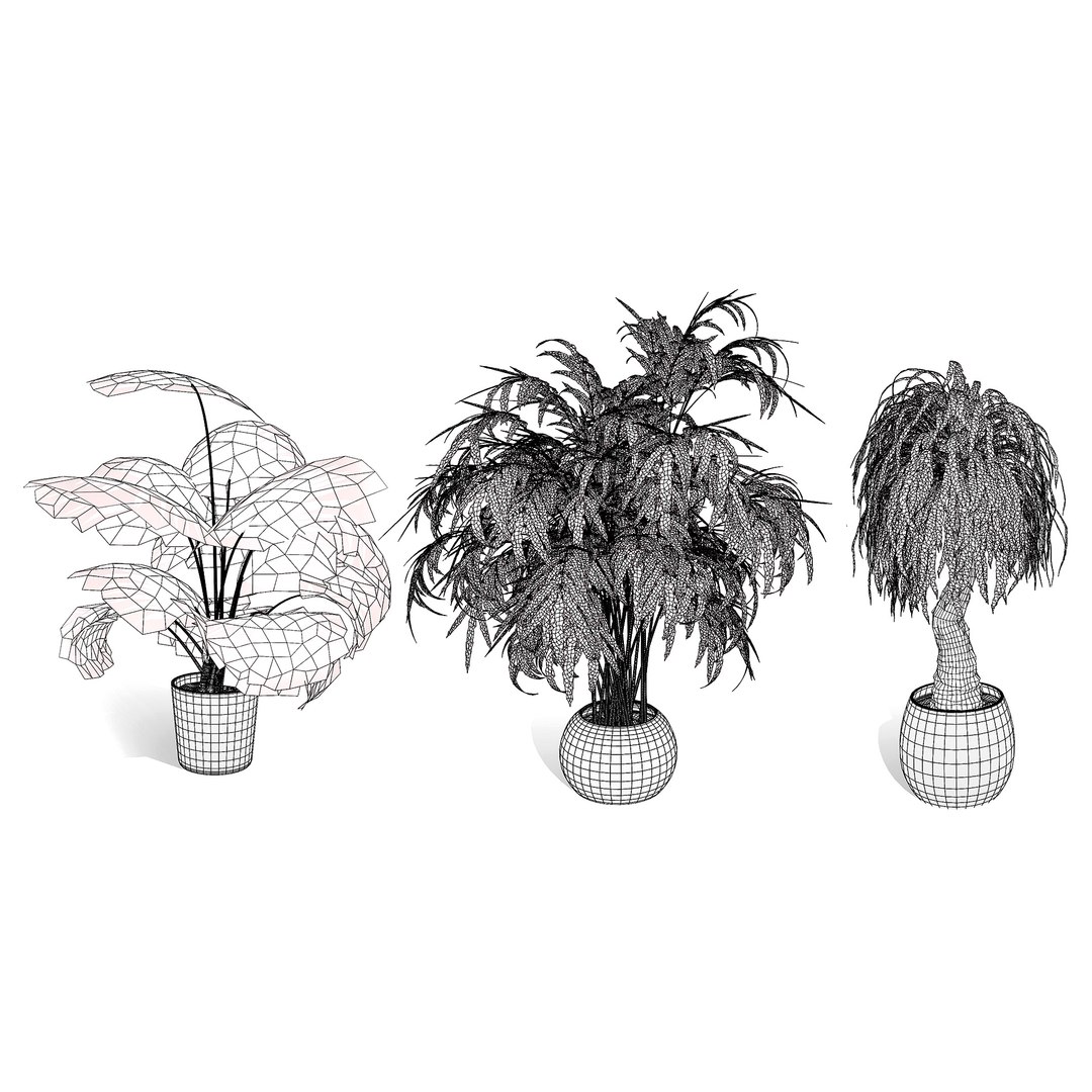 3D model Indoor Potted Palms 3d collection https://p.turbosquid.com/ts-thumb/P3/p8D1df/g7/wire/jpg/1721309015/1920x1080/fit_q87/1f0d75fa4c557046631d3bb330183b259a32fd14/wire.jpg