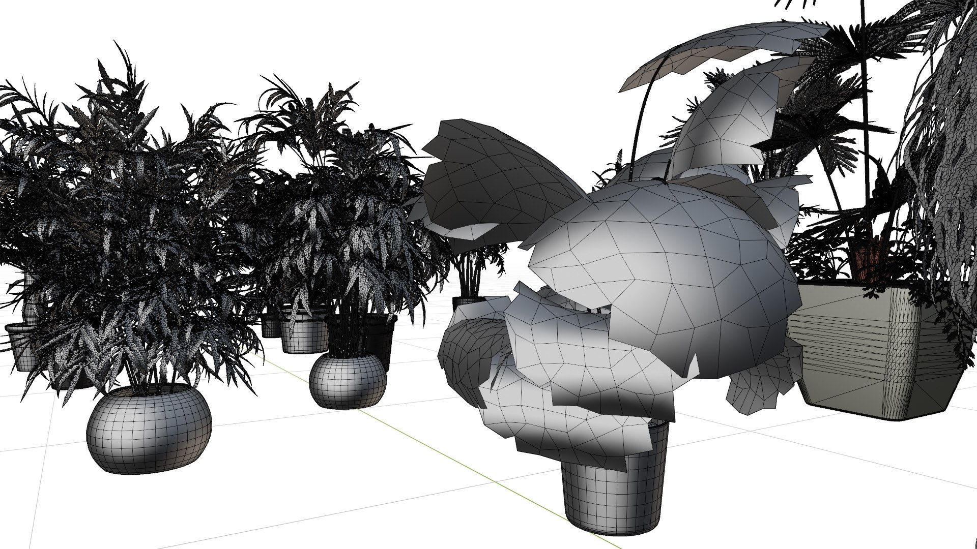 3D model Indoor Potted Palms 3d collection https://p.turbosquid.com/ts-thumb/P3/p8D1df/oT/wire03/jpg/1721935996/1920x1080/fit_q87/667c4502007ba2d5173a48ced2e5b49bfe5c55c9/wire03.jpg