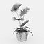 屋内鉢植えヤシの3Dコレクション