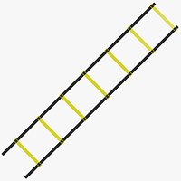 Agility Ladder Training