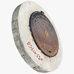 3D model 3D Scan of Manhole cover