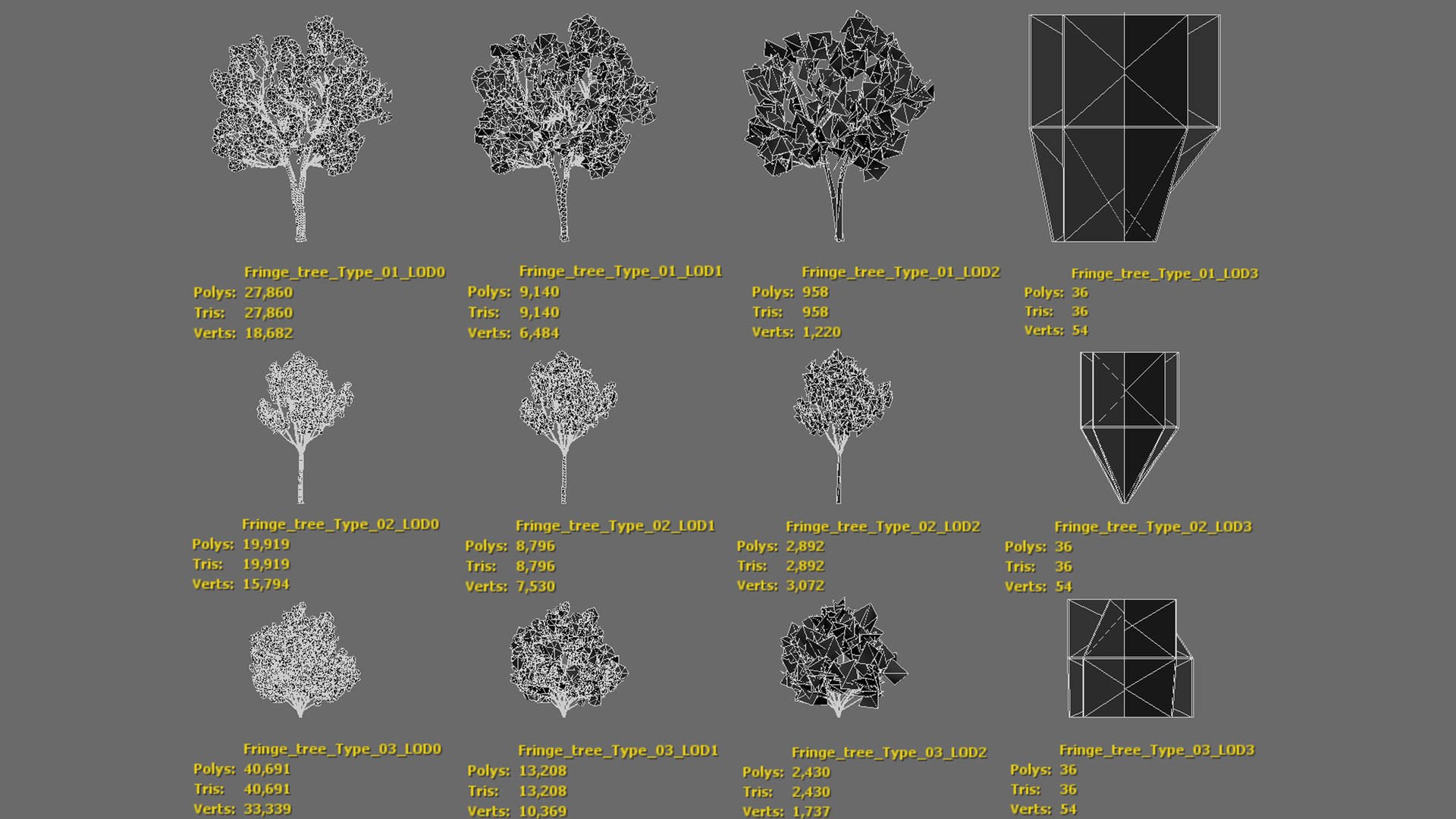 3D 5 realistic Korean Fringe Tree Model II LOD II Game ready model https://p.turbosquid.com/ts-thumb/P4/5axAt1/Pv/wire01/jpg/1734419541/1920x1080/fit_q87/724c3d3f0a83615f161925957b92d9116c6a874f/wire01.jpg